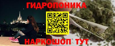 прущие грибы Лесосибирск