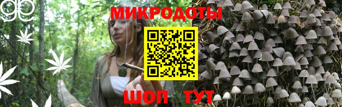 Галлюциногенные грибы Psilocybine cubensis Южно-Сахалинск
